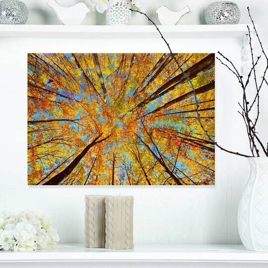 Designart - Tree Tops in Autumn Forest